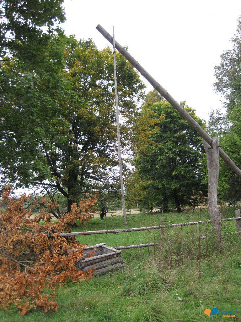 post-6657-0-56459200-1359620110_thumb.jp