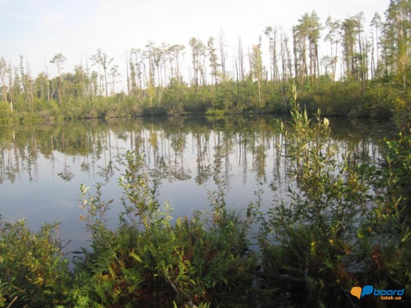 post-6657-0-64380800-1359375726_thumb.jp