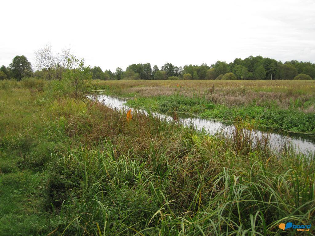 post-6657-0-67618500-1359619804_thumb.jp