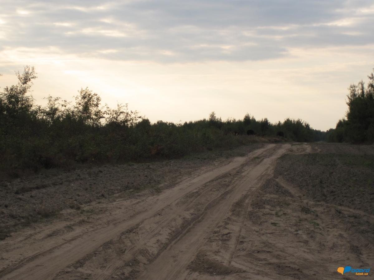 post-6657-0-70521400-1359371906_thumb.jp