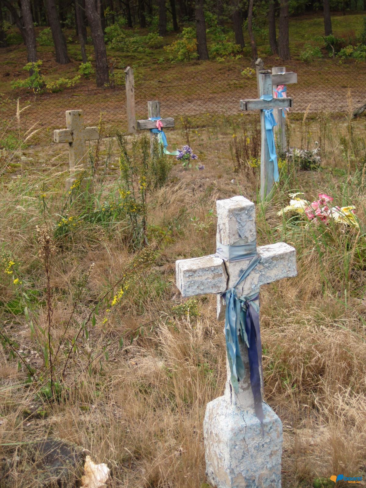 post-6657-0-70845200-1359546349_thumb.jp