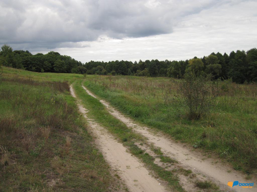 post-6657-0-71786600-1359619621_thumb.jp