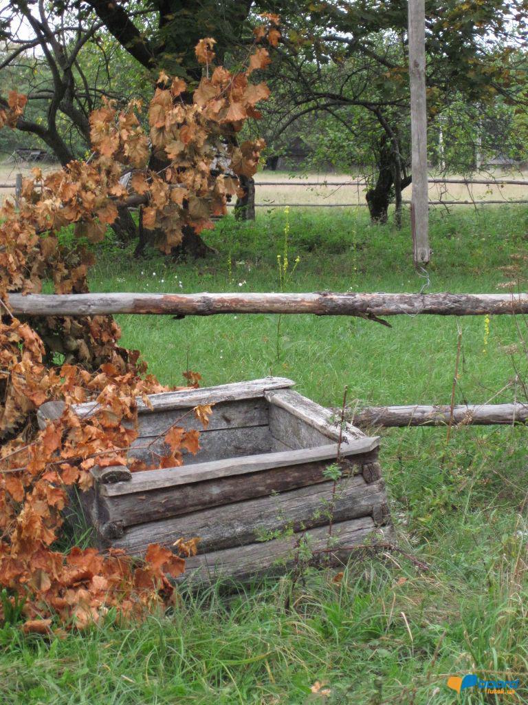 post-6657-0-74557600-1359620120_thumb.jp