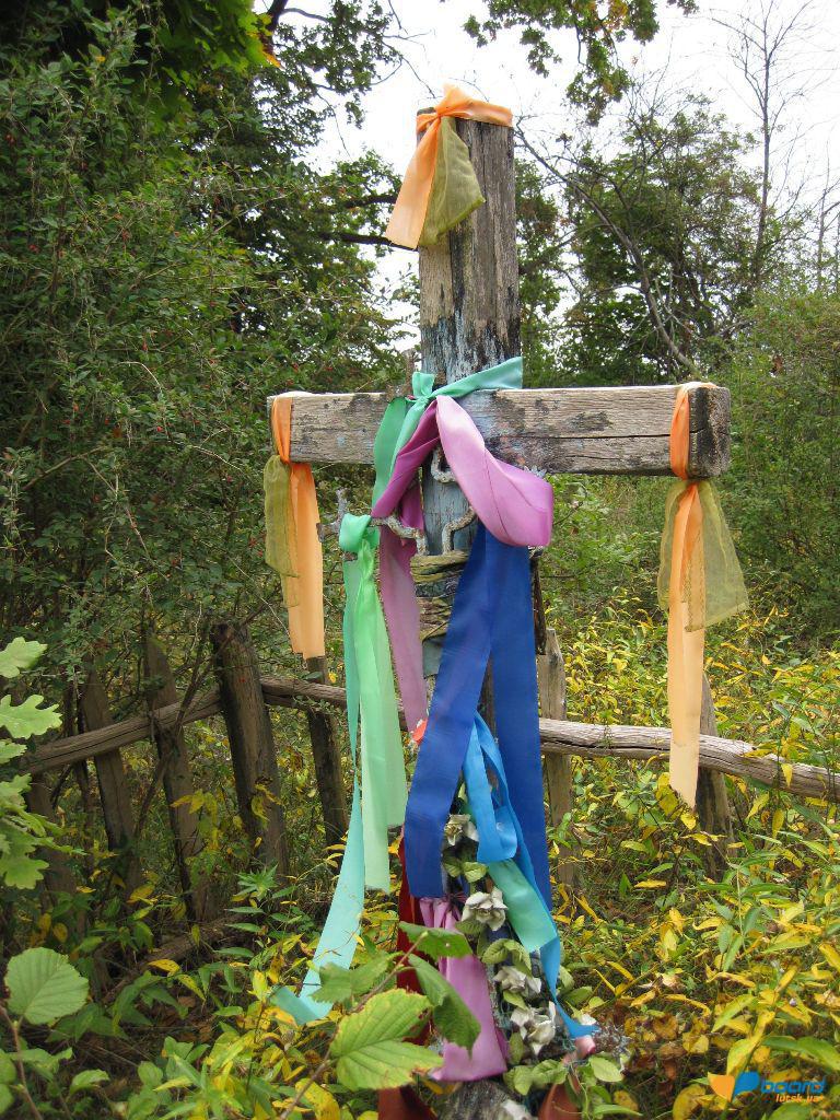 post-6657-0-75235300-1359619632_thumb.jp