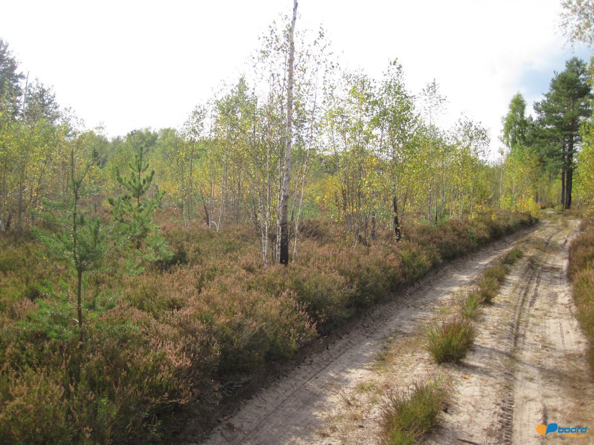 post-6657-0-77992600-1359370780_thumb.jp