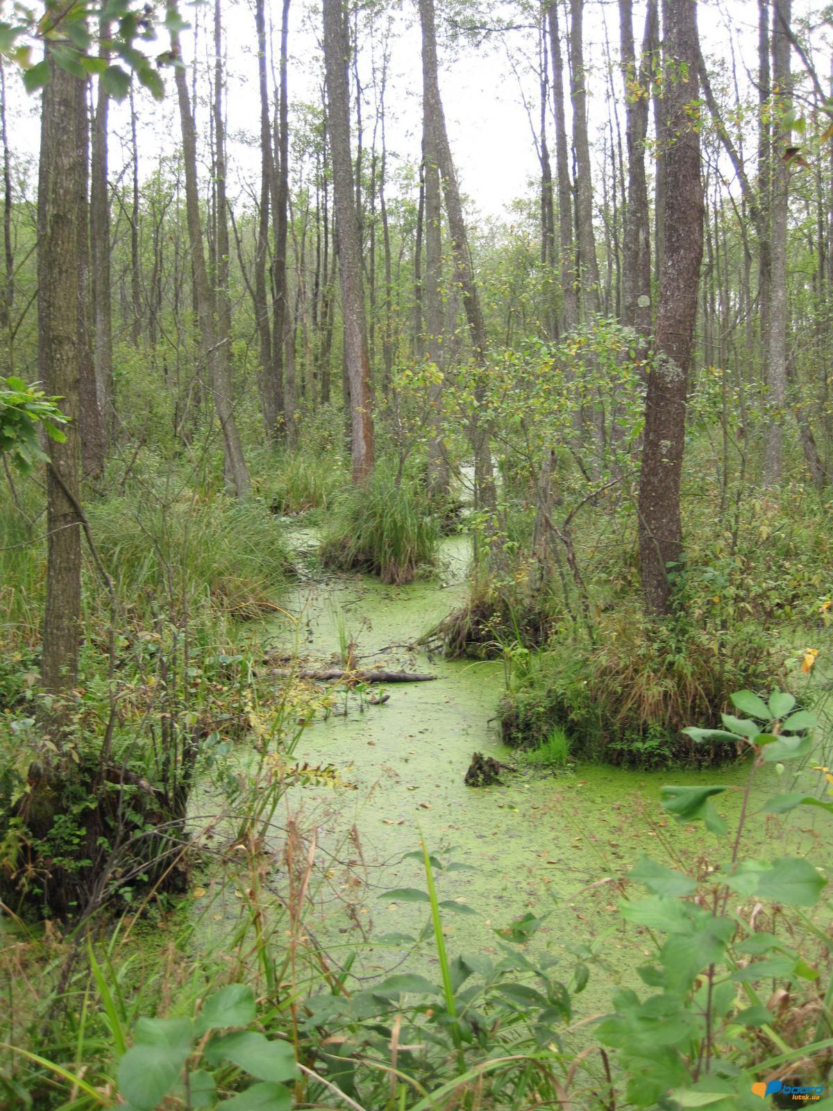 post-6657-0-78291700-1359371177_thumb.jp