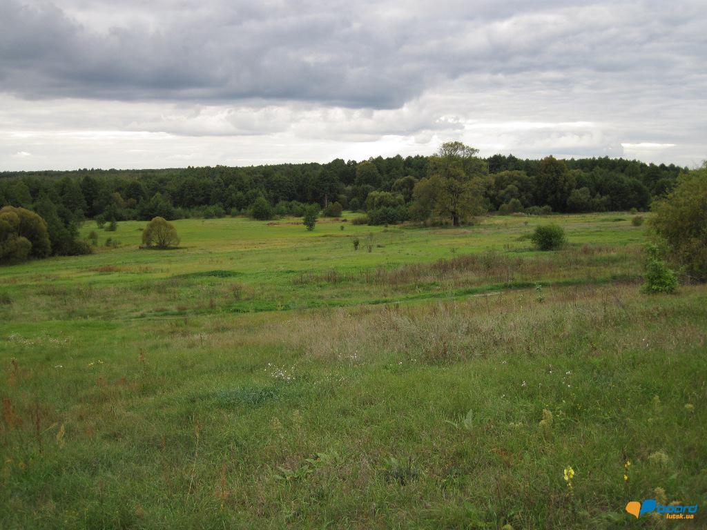 post-6657-0-80405000-1359619664_thumb.jp