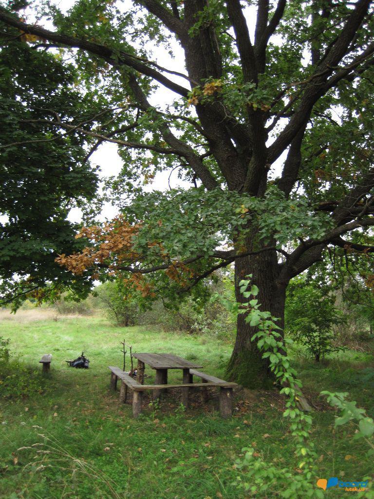 post-6657-0-80584300-1359619643_thumb.jp