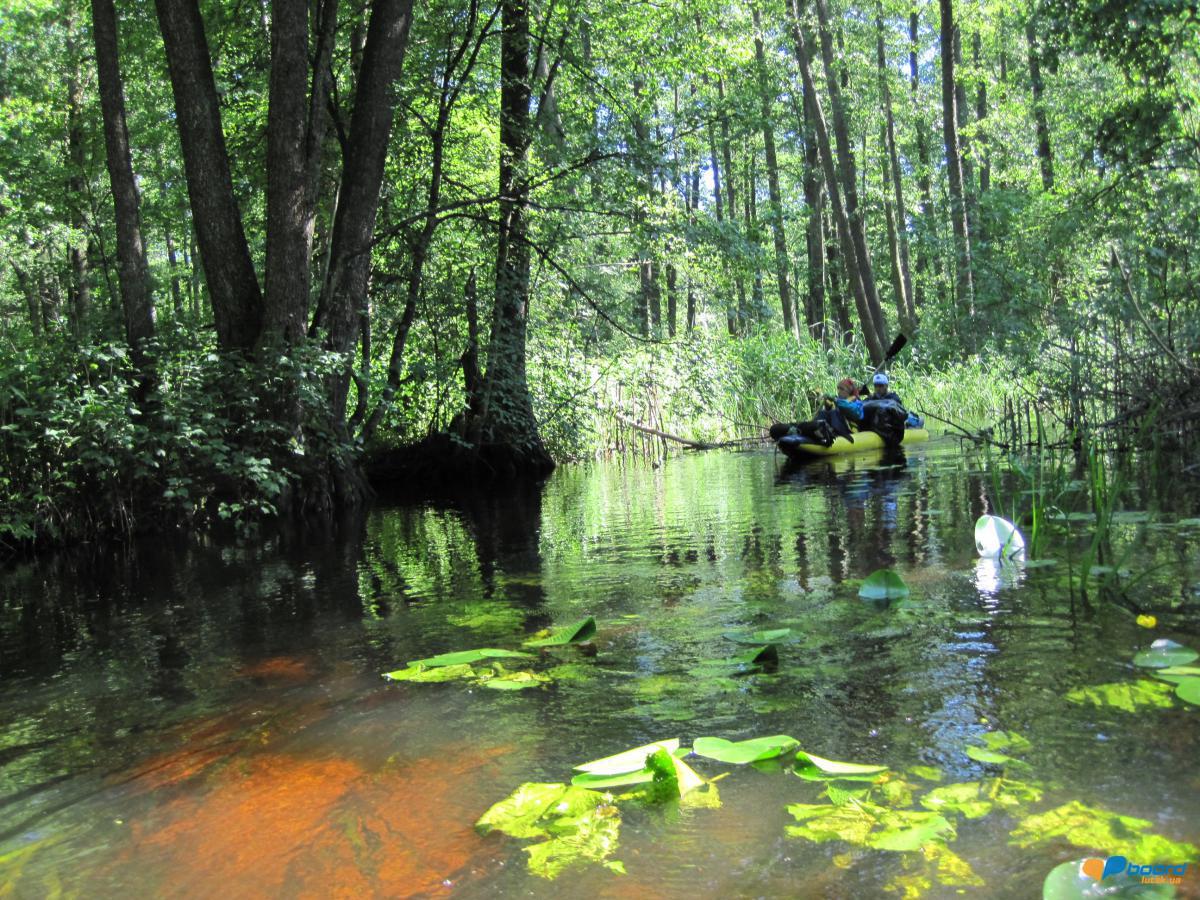 post-6657-0-82622300-1359378901_thumb.jp