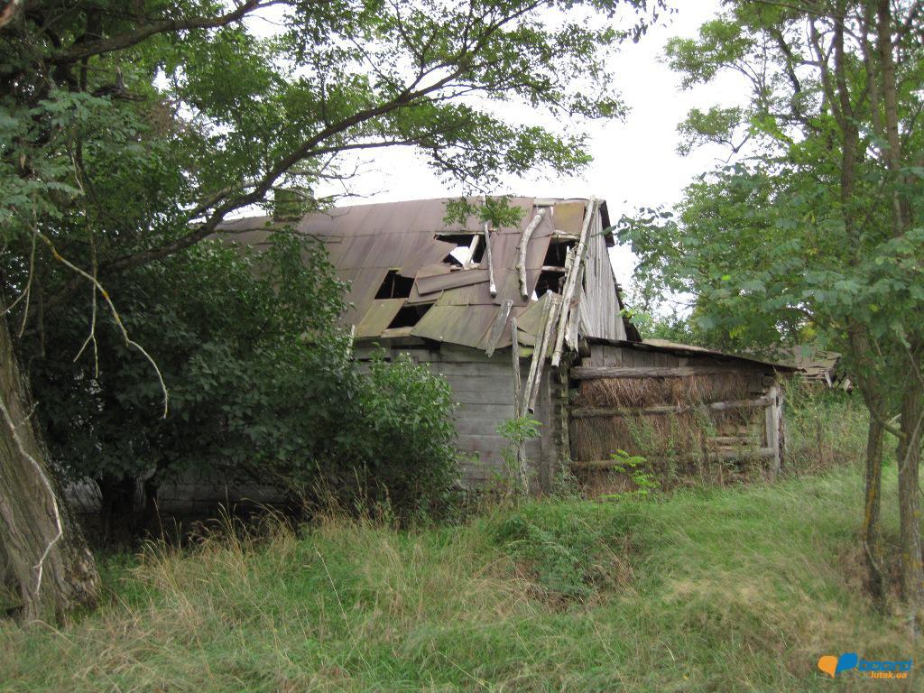 post-6657-0-83427100-1359619766_thumb.jp