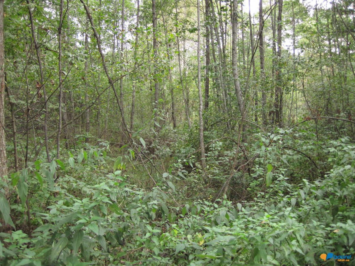 post-6657-0-85757600-1359546963_thumb.jp