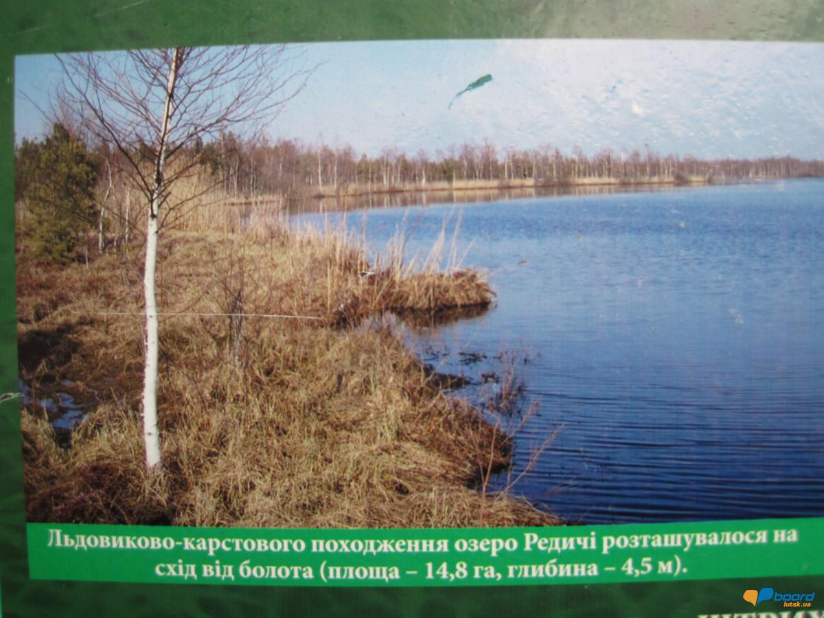 post-6657-0-86599200-1359546205_thumb.jp