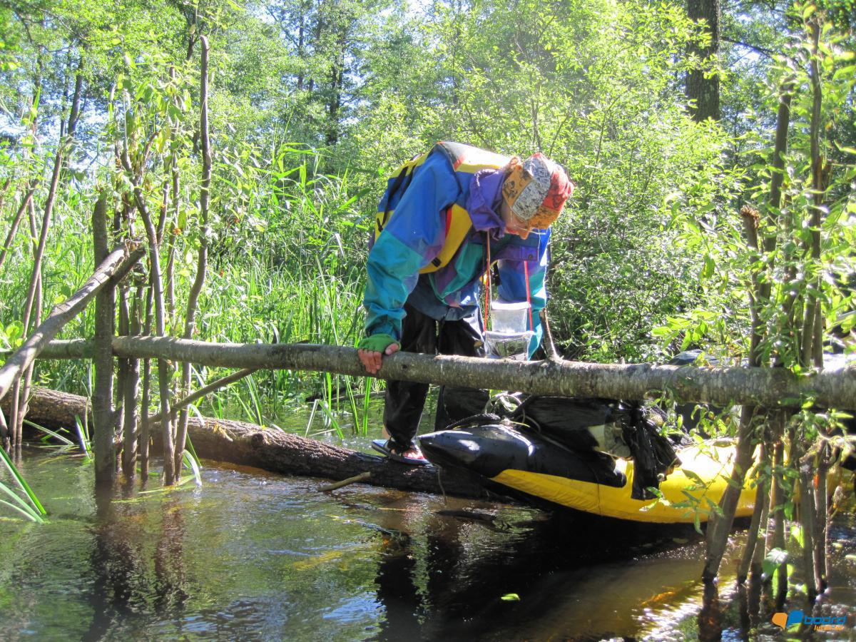 post-6657-0-87217300-1359378968_thumb.jp