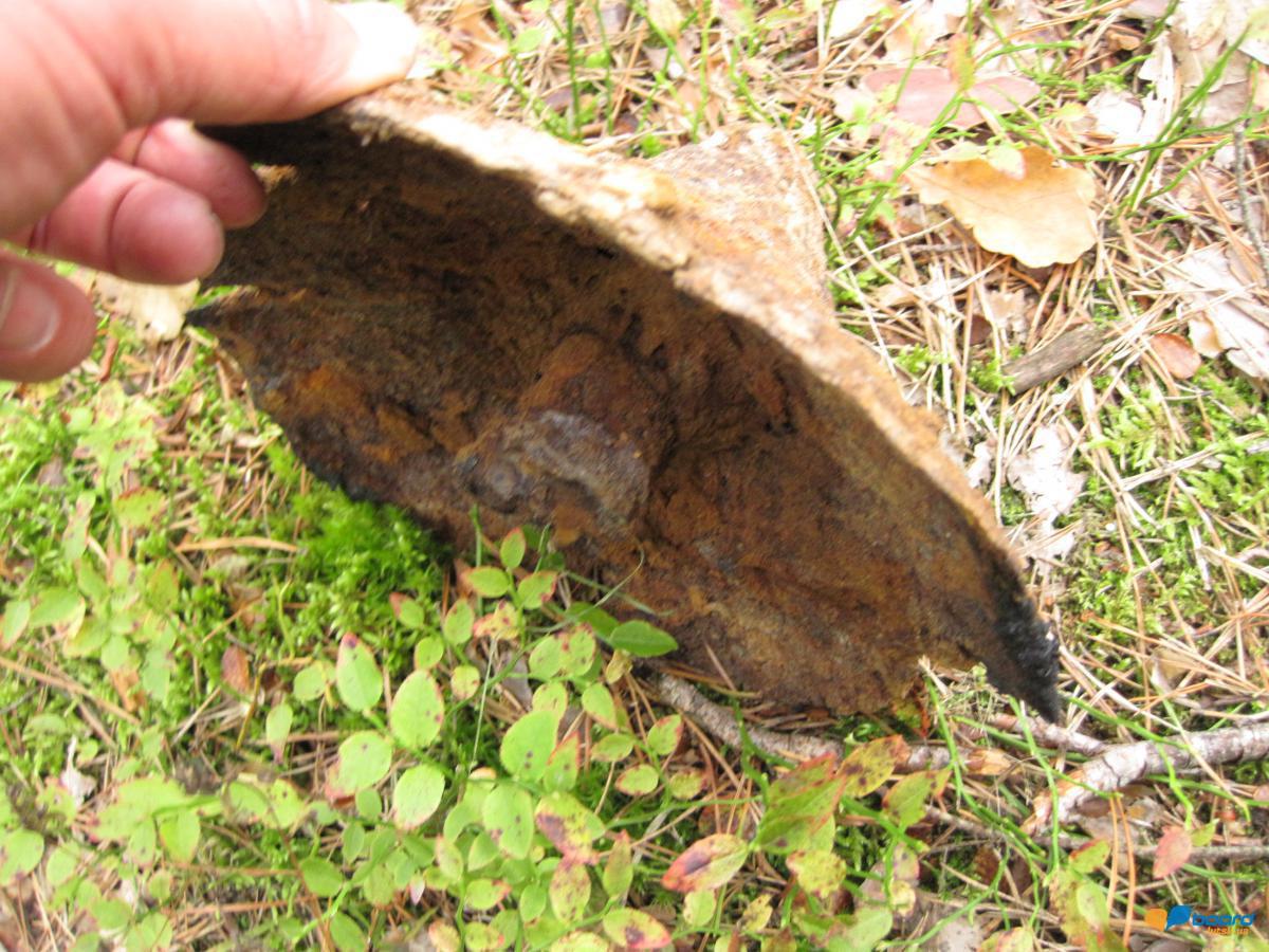 post-6657-0-87623100-1359546782_thumb.jp