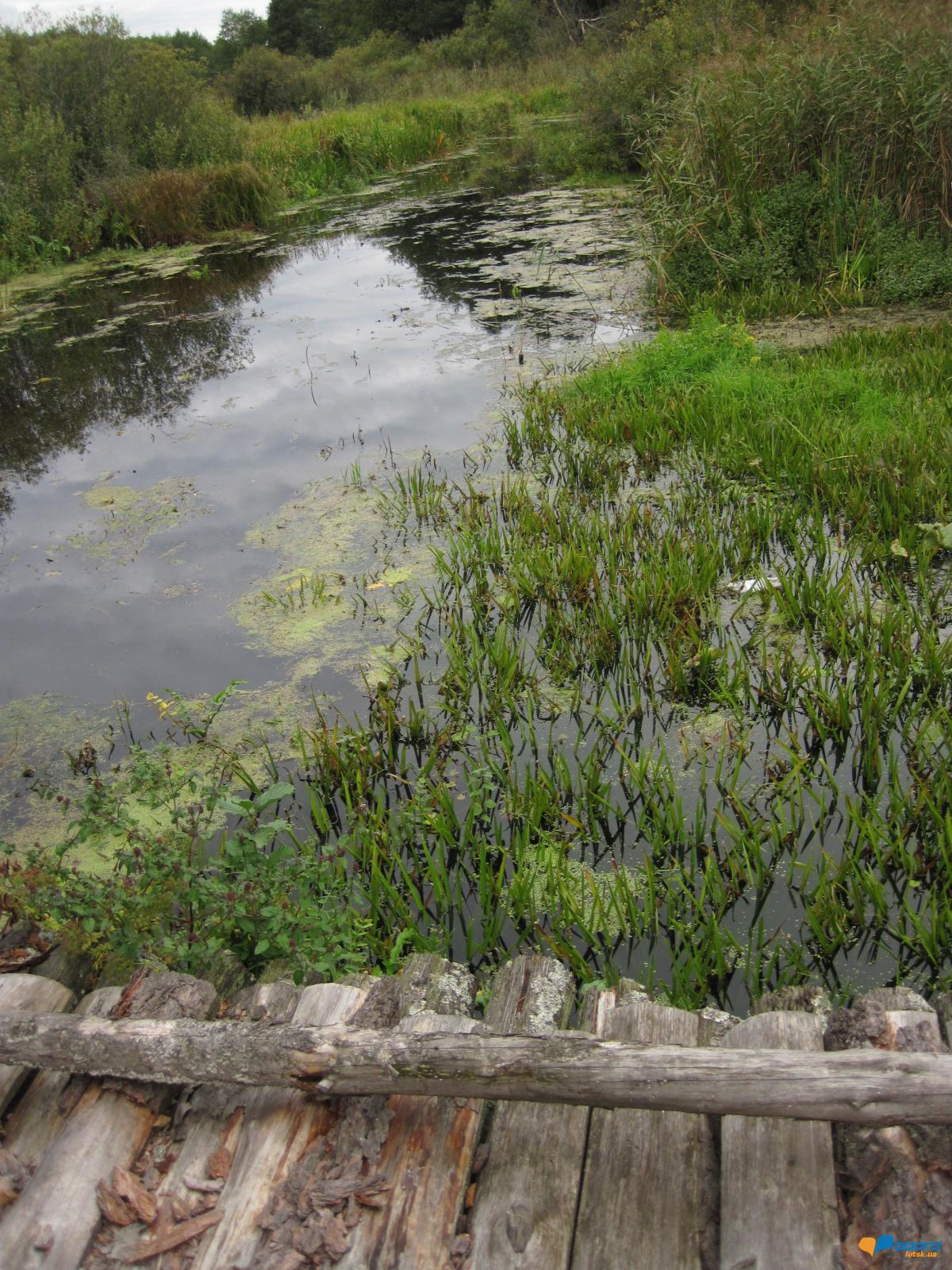 post-6657-0-88469700-1359547962_thumb.jp