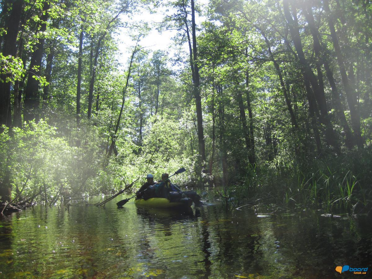 post-6657-0-94544500-1359378462_thumb.jp