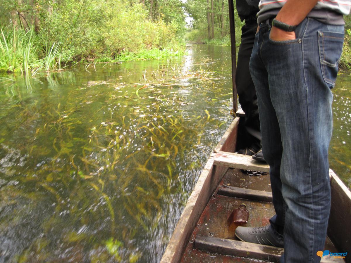 post-6657-0-96743100-1359377310_thumb.jp