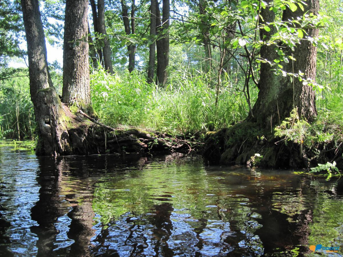 post-6657-0-98181300-1359547470_thumb.jp