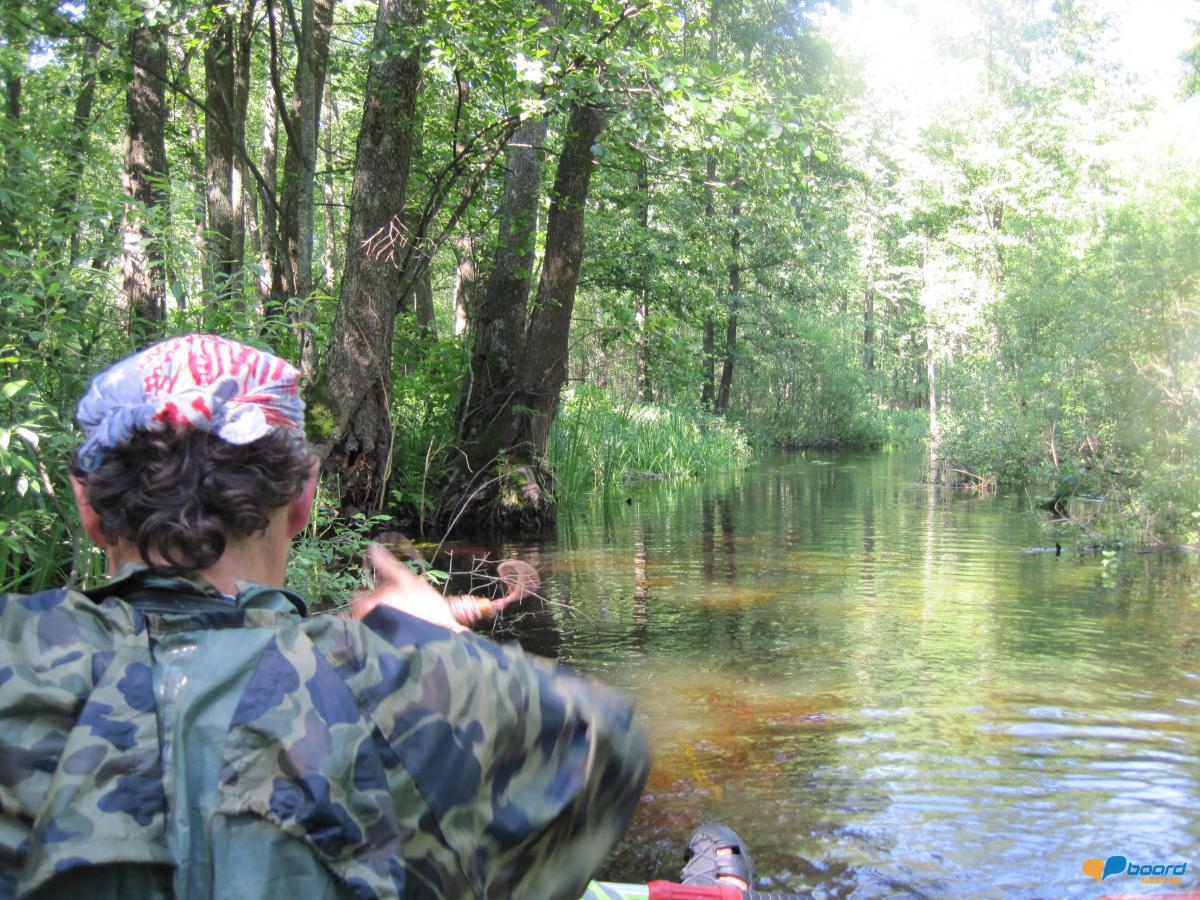 post-6657-0-99159400-1359379023_thumb.jp