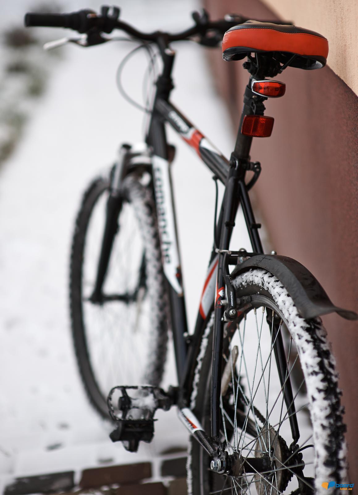 post-8463-0-45024800-1357937281_thumb.jp