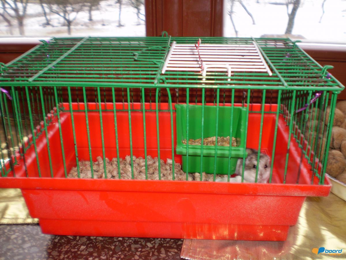 post-8554-0-18198900-1359638325_thumb.jp