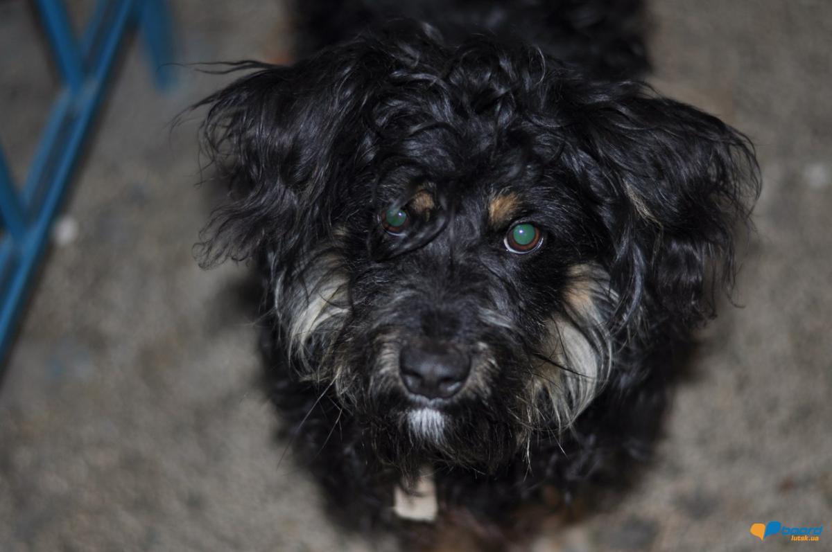 post-9214-0-05163000-1359210069_thumb.jp