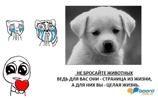 post-9214-0-75144500-1359212453_thumb.jp