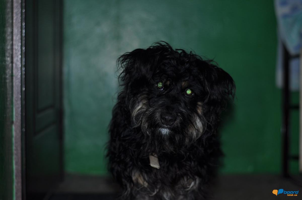 post-9214-0-87527000-1359210071_thumb.jp