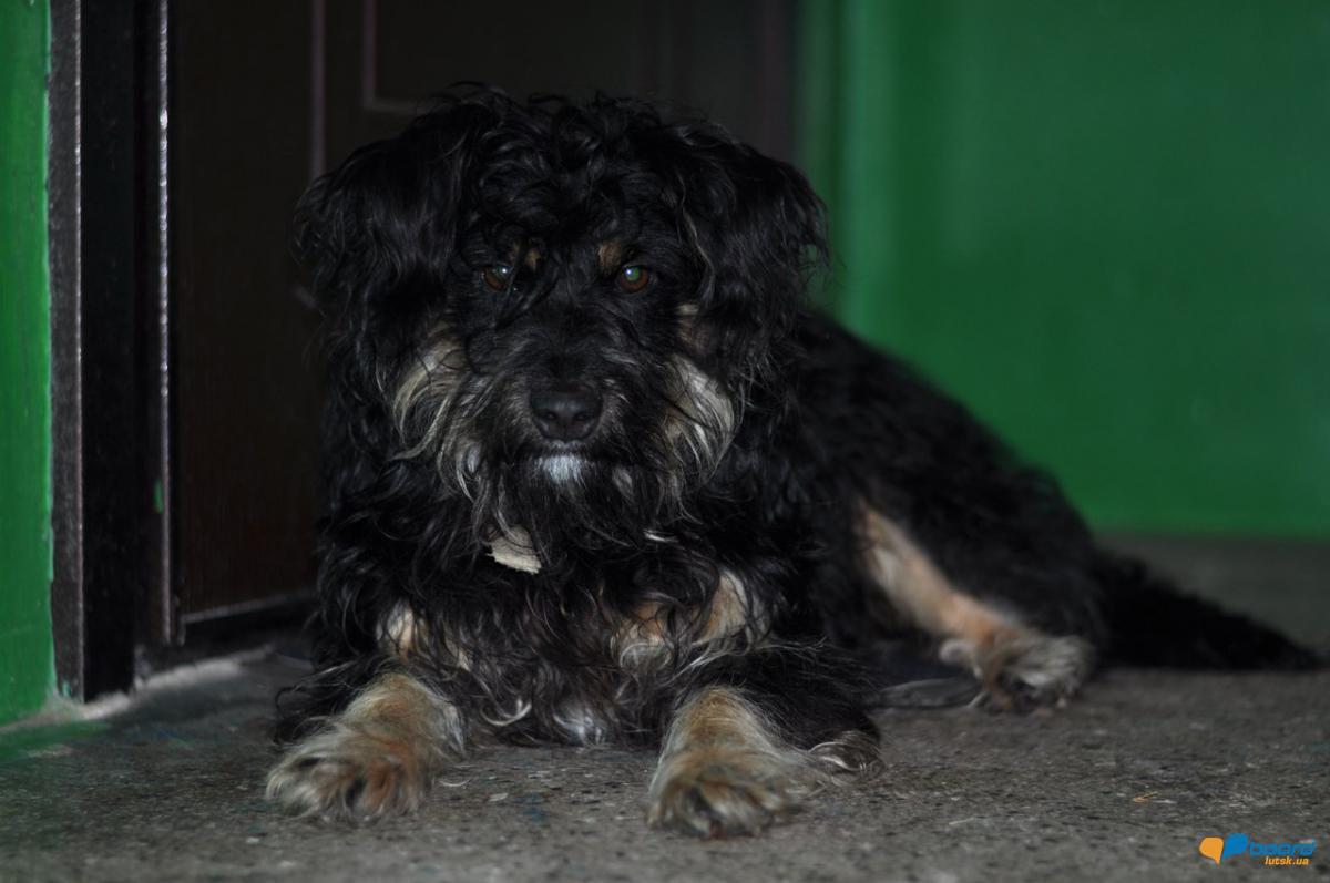 post-9214-0-98978800-1359210074_thumb.jp