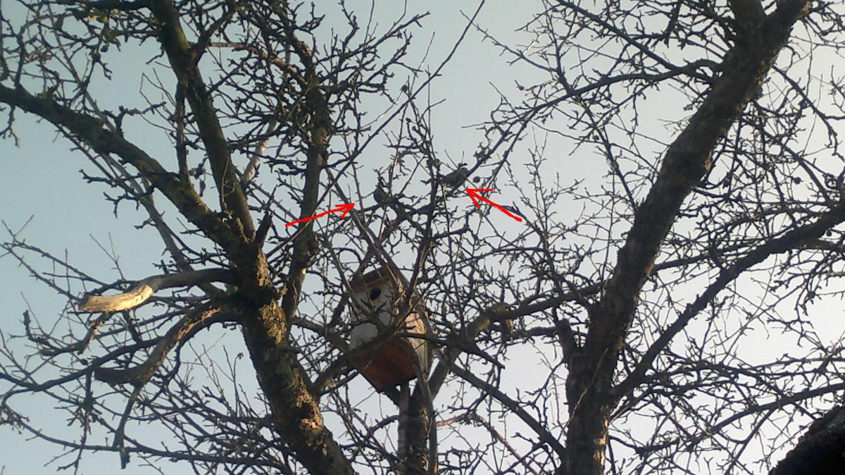 post-11231-0-43293600-1365702992_thumb.j