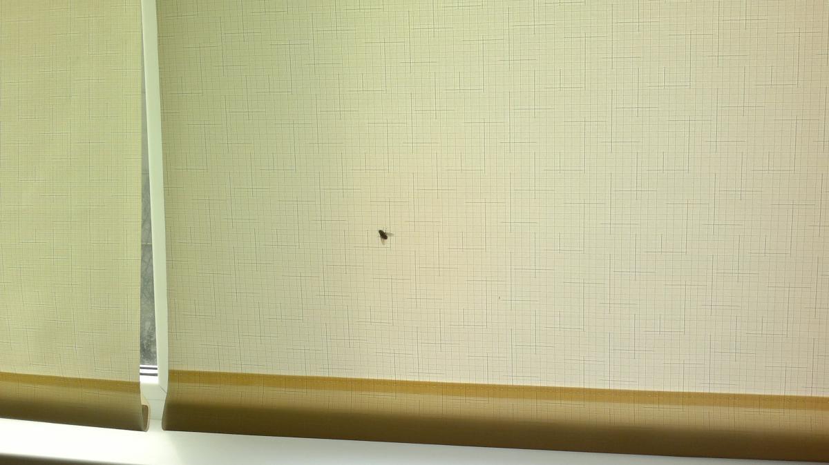 post-11231-0-91525700-1365679713_thumb.j