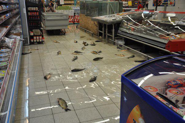 post-11366-0-03638700-1365056404_thumb.j