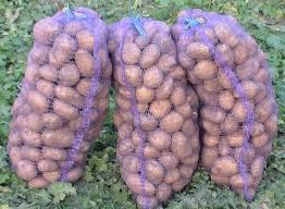 post-11429-0-66480700-1367344751_thumb.j