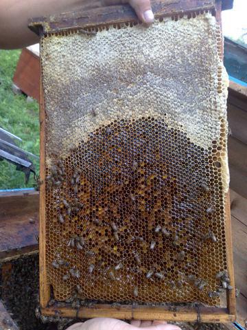 post-11619-0-54833800-1366925542_thumb.j