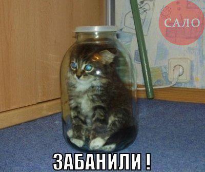 post-12037-0-75807500-1366486307_thumb.j