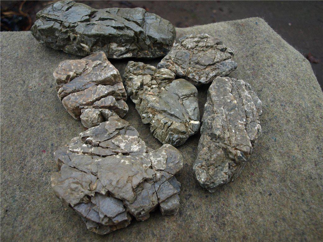 post-12210-0-56197400-1366438346_thumb.j