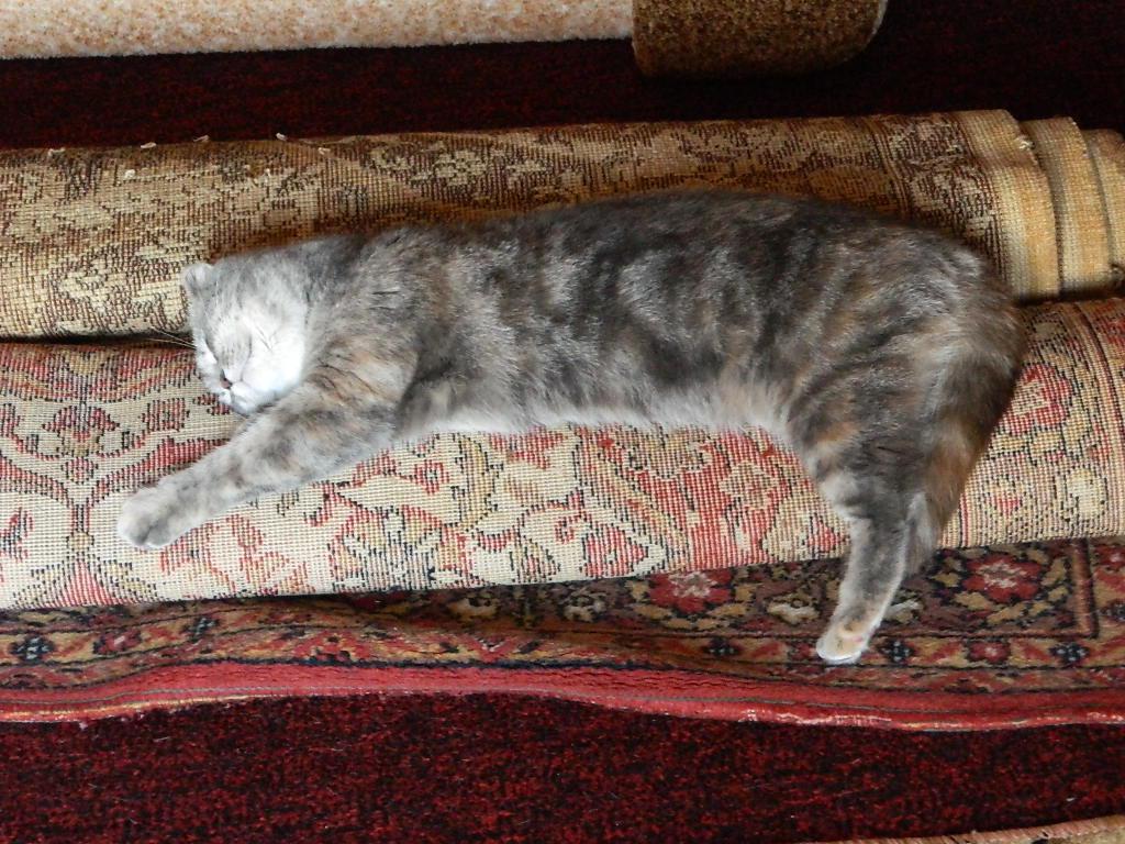 post-12809-0-50431800-1366448313_thumb.j