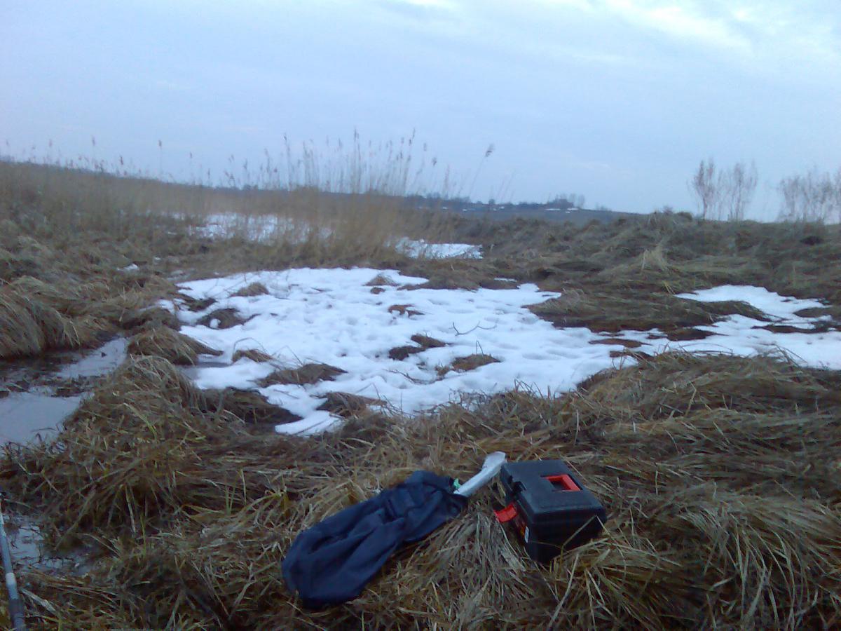 post-13697-0-24930600-1365941772_thumb.j