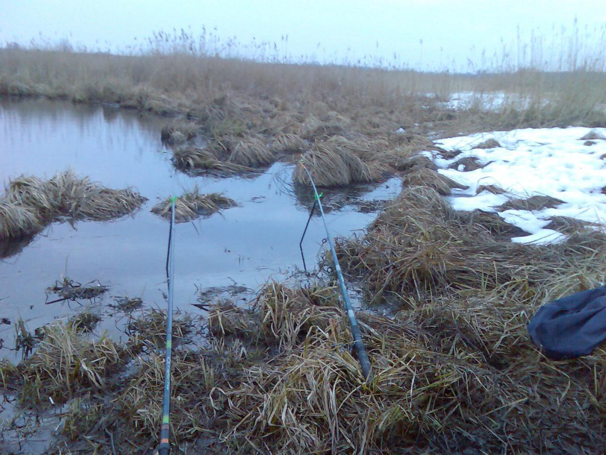 post-13697-0-26437100-1365941767_thumb.j