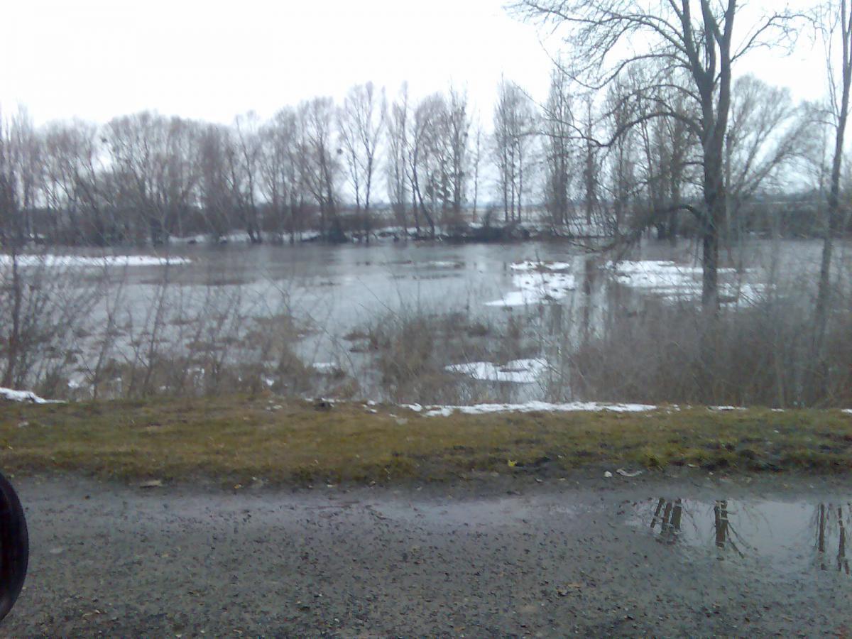 post-13697-0-29748100-1365000719_thumb.j