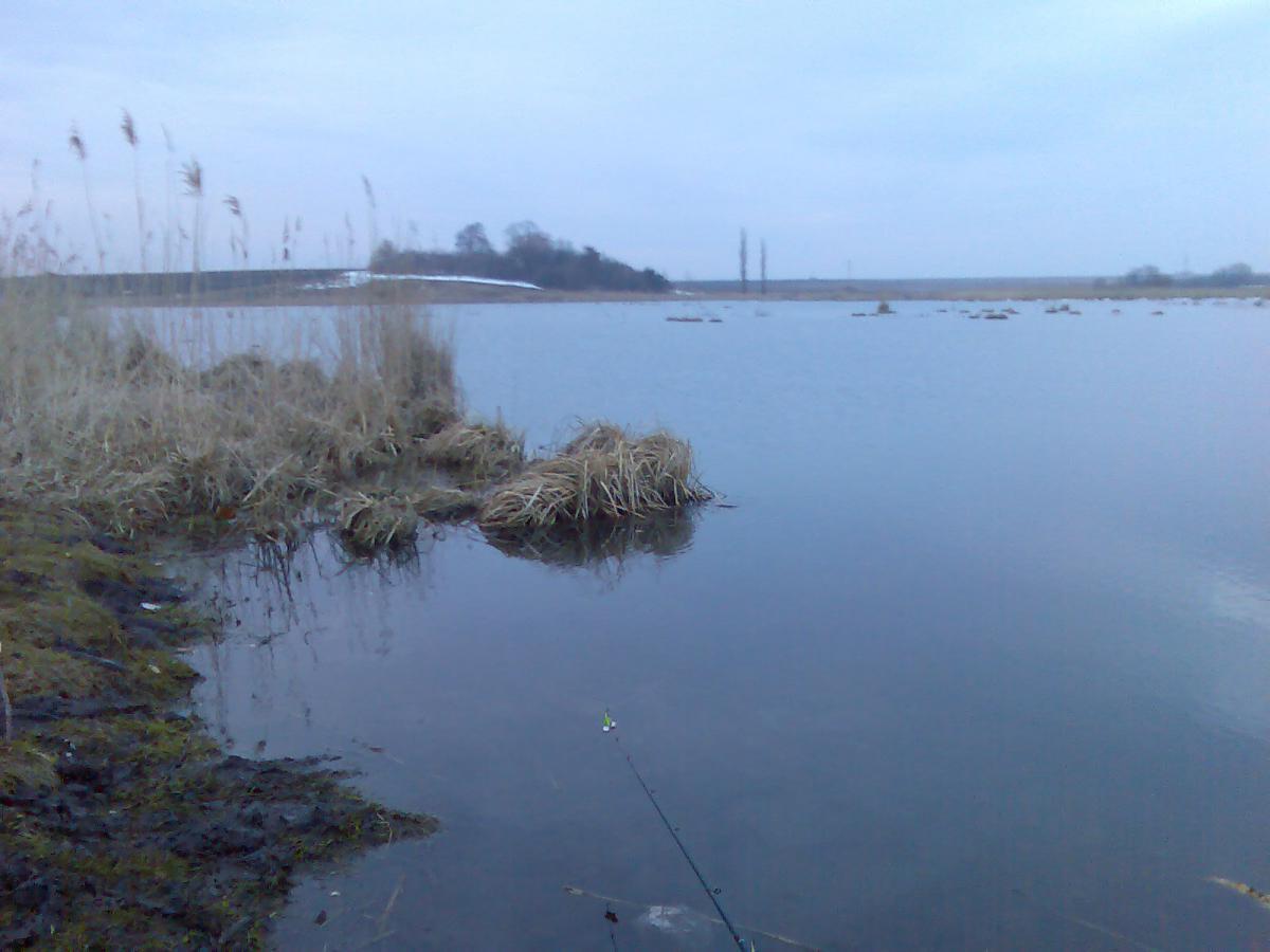 post-13697-0-34063500-1365941770_thumb.j