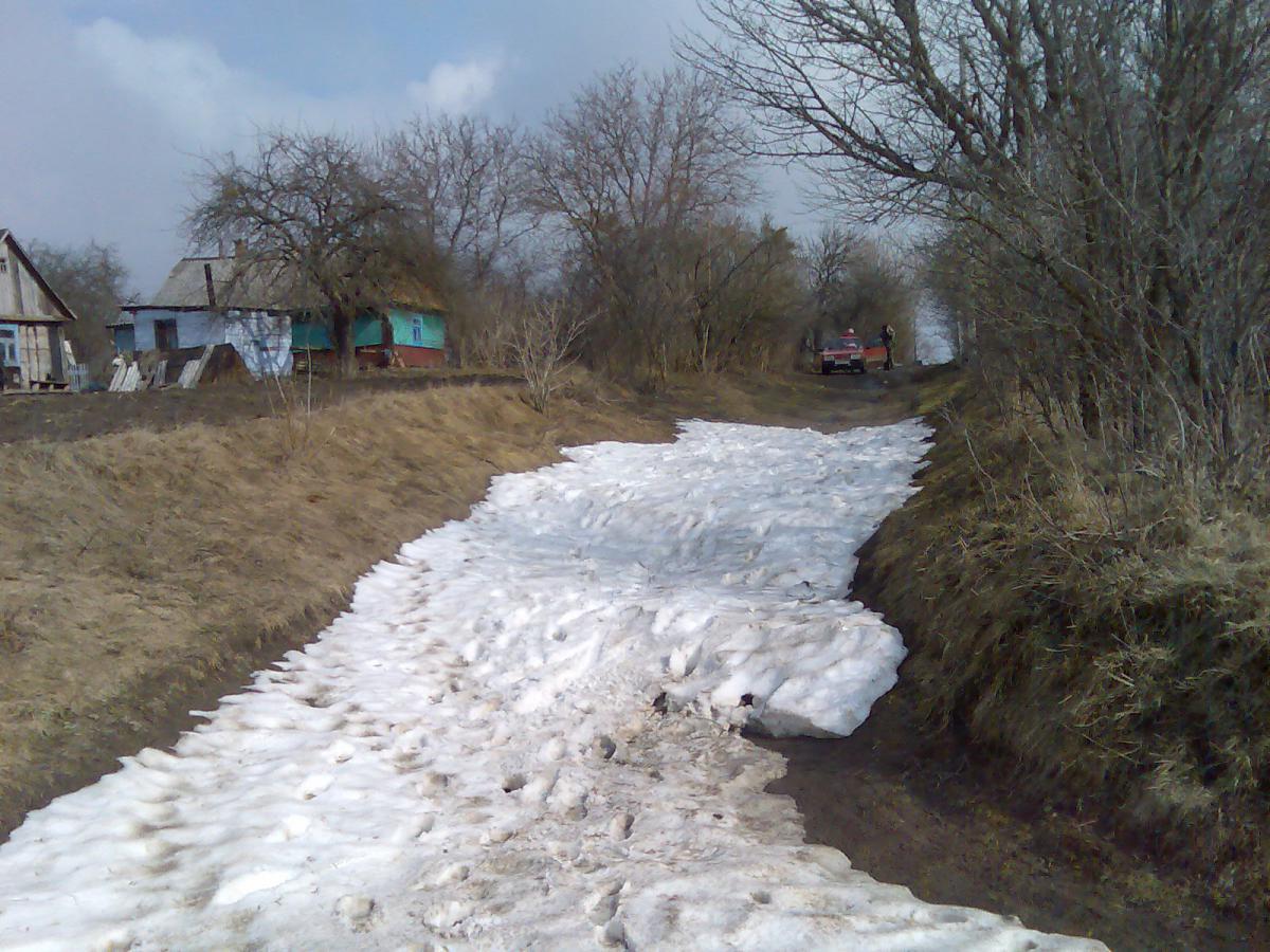 post-13697-0-50694200-1365941953_thumb.j