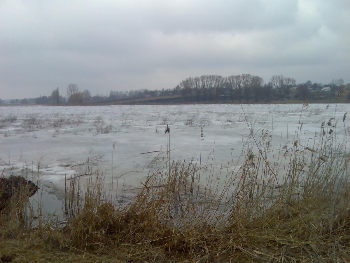 post-13697-0-50706200-1365942329_thumb.j