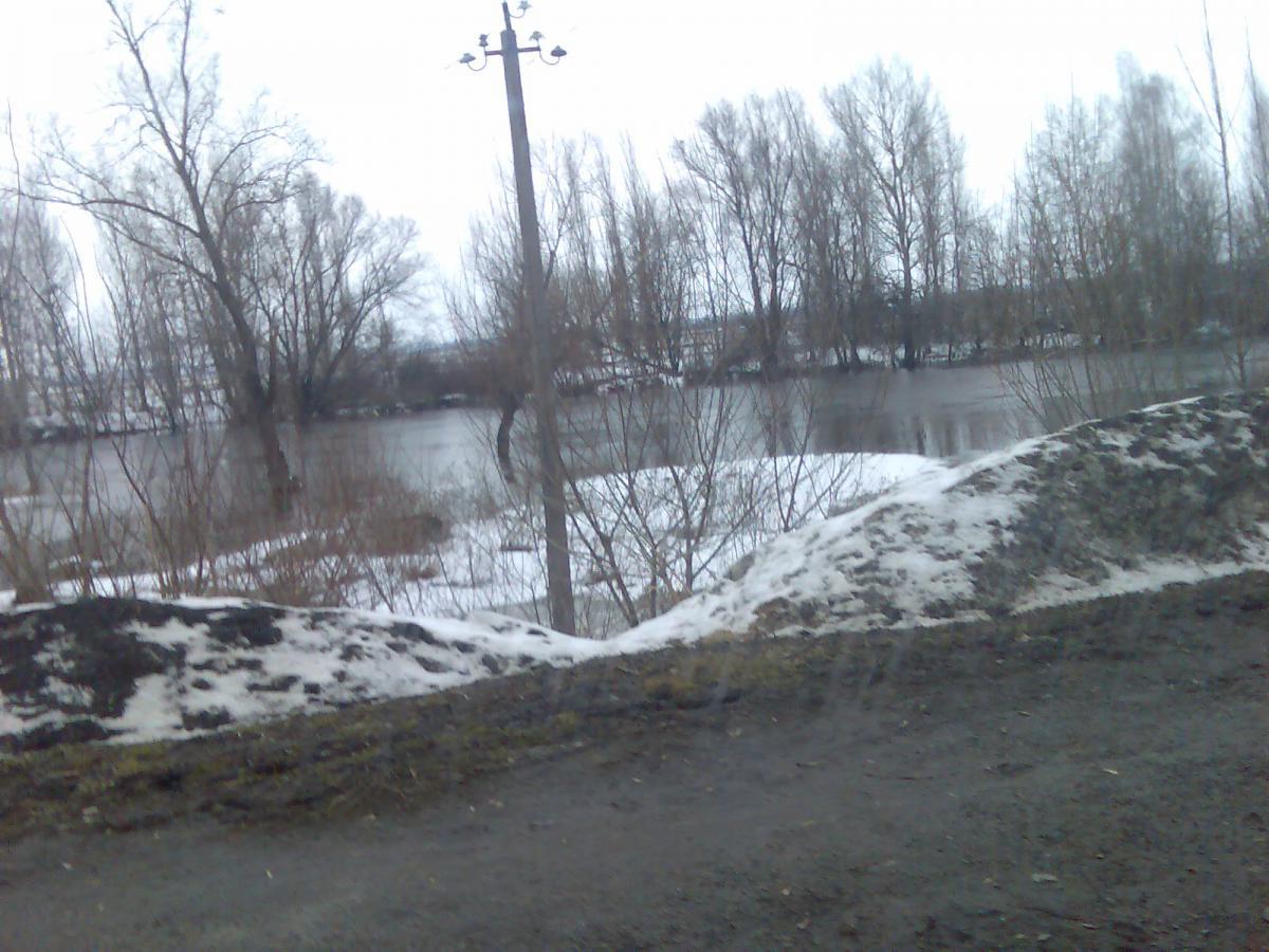 post-13697-0-51162600-1365000710_thumb.j