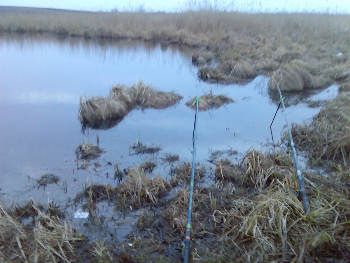 post-13697-0-64228400-1365941765_thumb.j