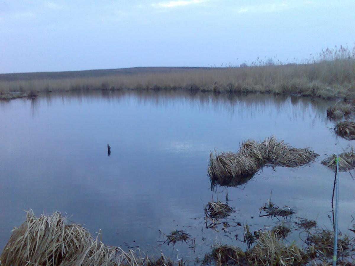 post-13697-0-68587100-1365941768_thumb.j