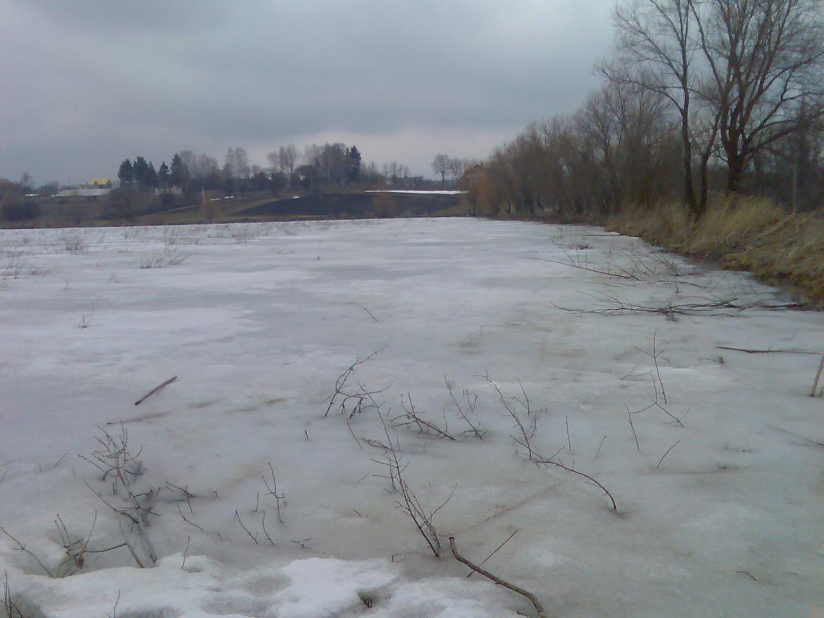 post-13697-0-75230700-1365942324_thumb.j