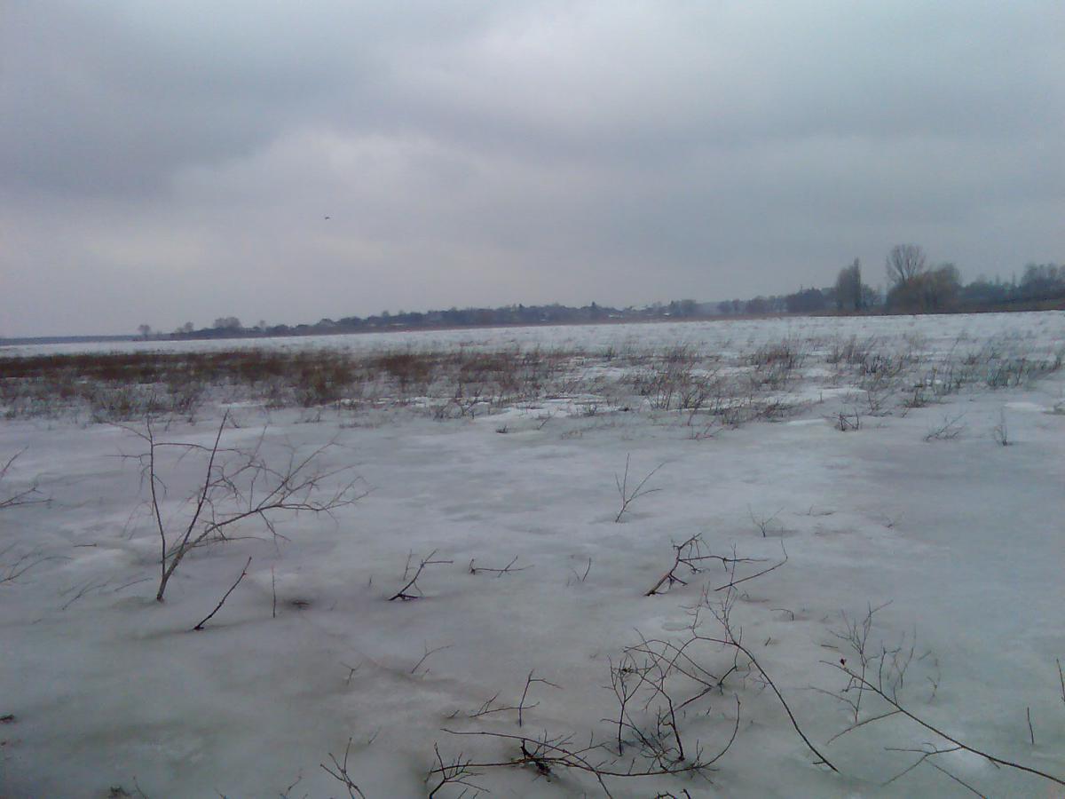 post-13697-0-86725900-1365942330_thumb.j