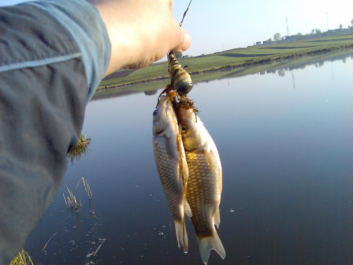 post-13697-0-92781000-1364998708_thumb.j