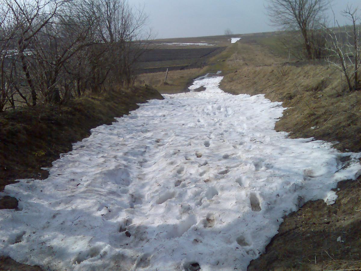 post-13697-0-98771400-1365941951_thumb.j